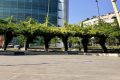 Terrassa no compleix