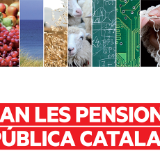 Què passarà amb la meva pensió?