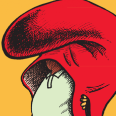 Premis Gorra Frígia 2017 – A la recerca de candidats