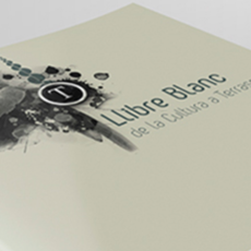 EL LLIBRE EN BLANC DE LA CULTURA