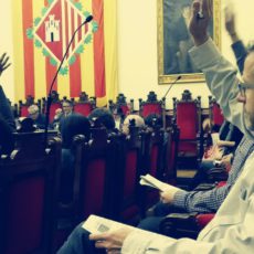 PROBLEMES I SOLUCIONS PROBLEMES I SOLUCIONS
