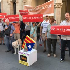 Ple de juny: Referèndum a debat Ple de juny: Referèndum a debat