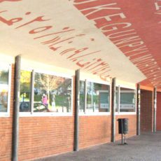 BIBLIOTEQUES EN TEMPS DE NETFLIX BIBLIOTEQUES EN TEMPS DE NETFLIX