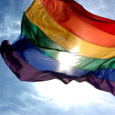 La dictadura gay? La dictadura gay?