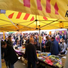 Totes les propostes per viure un Sant Jordi des del confinament Totes les propostes per viure un Sant Jordi des del confinament
