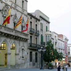 Ple de desembre: el tancament d’un any marcat per la Covid-19 Ple de desembre: el tancament d’un any marcat per la Covid-19