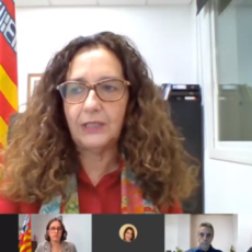 Teresa Ciurana: “La Covid-19 ens ha capgirat la planificació dels serveis i hem hagut de reinventar-nos per donar resposta a les noves necessitats” Teresa Ciurana: “La Covid-19 ens ha capgirat la planificació dels serveis i hem hagut de reinventar-nos per donar resposta a les noves necessitats”