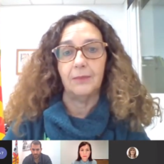 Teresa Ciurana: “La pandèmia és global i l’hem d’afrontar de forma col·lectiva” Teresa Ciurana: “La pandèmia és global i l’hem d’afrontar de forma col·lectiva”