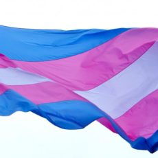 Lluitar pels drets de les persones trans és lluitar pels drets de tothom Lluitar pels drets de les persones trans és lluitar pels drets de tothom